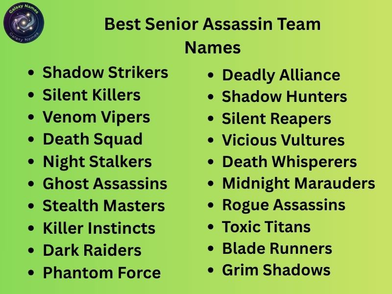 Best Senior Assassin Team Names