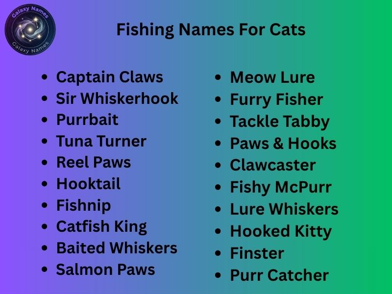 Fishing Names For Cats