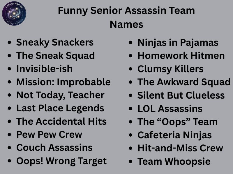 Funny Senior Assassin Team Names