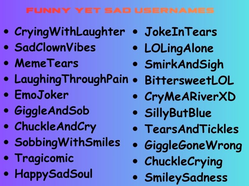 Funny Yet Sad Usernames