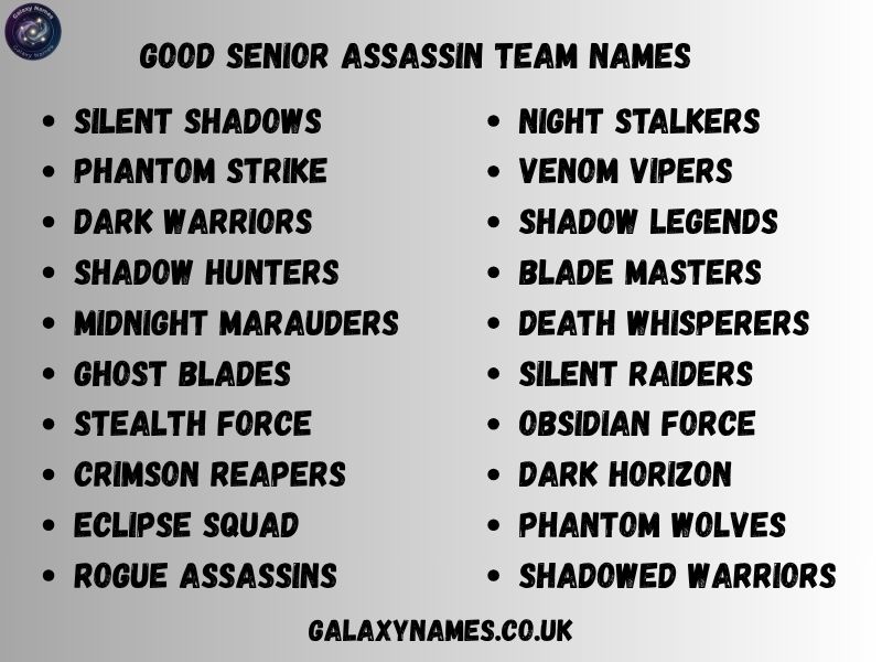 Good Senior Assassin Team Names