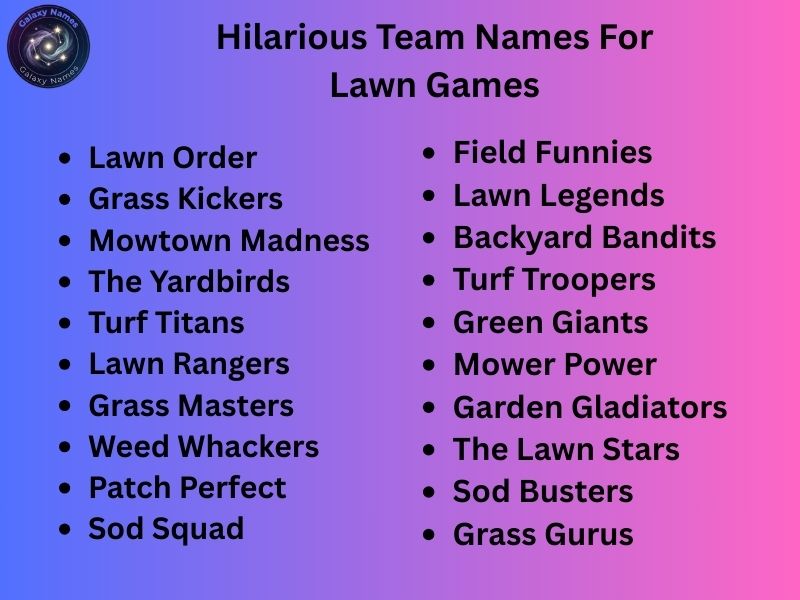 Hilarious Team Names For Lawn Games