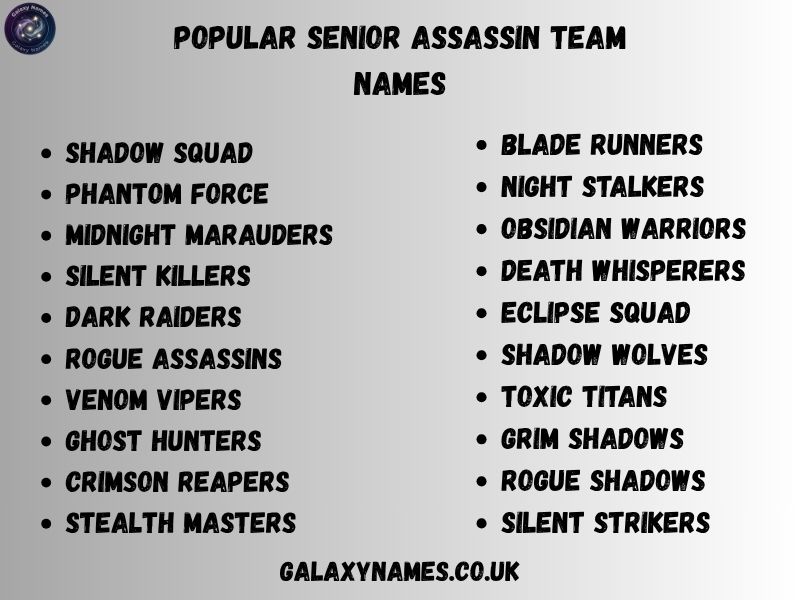 Popular Senior Assassin Team Names