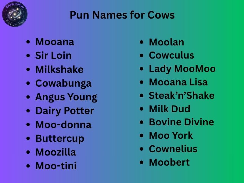 Pun Names for Cows