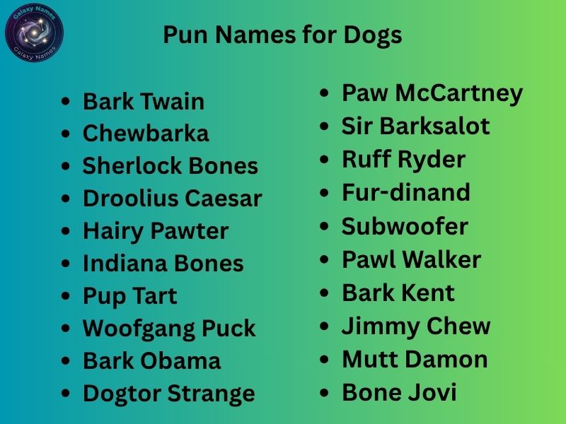 Pun Names for Dogs