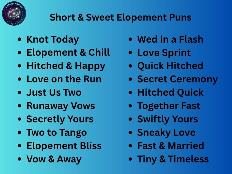 Short & Sweet Elopement Puns