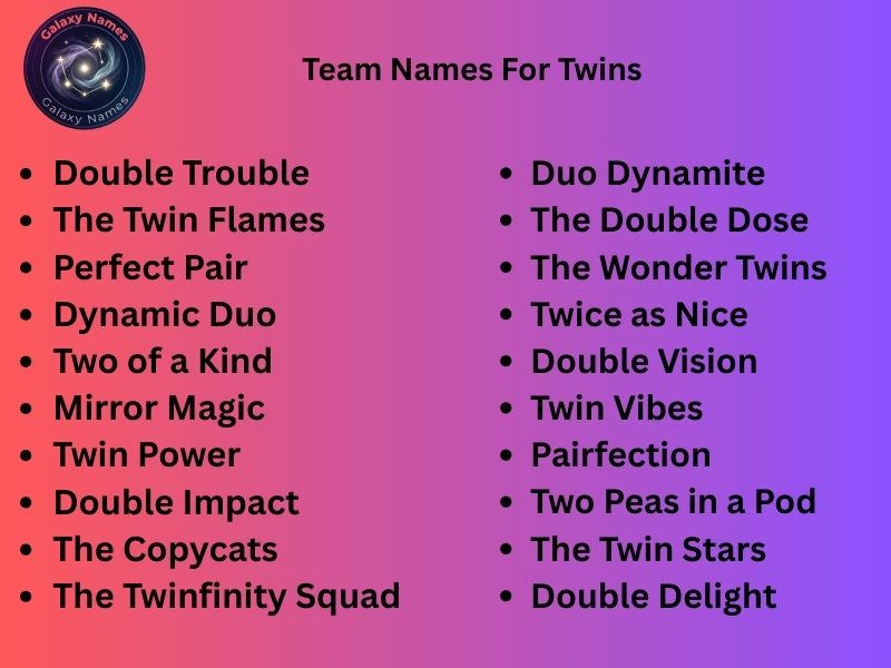 Team Names For Twins