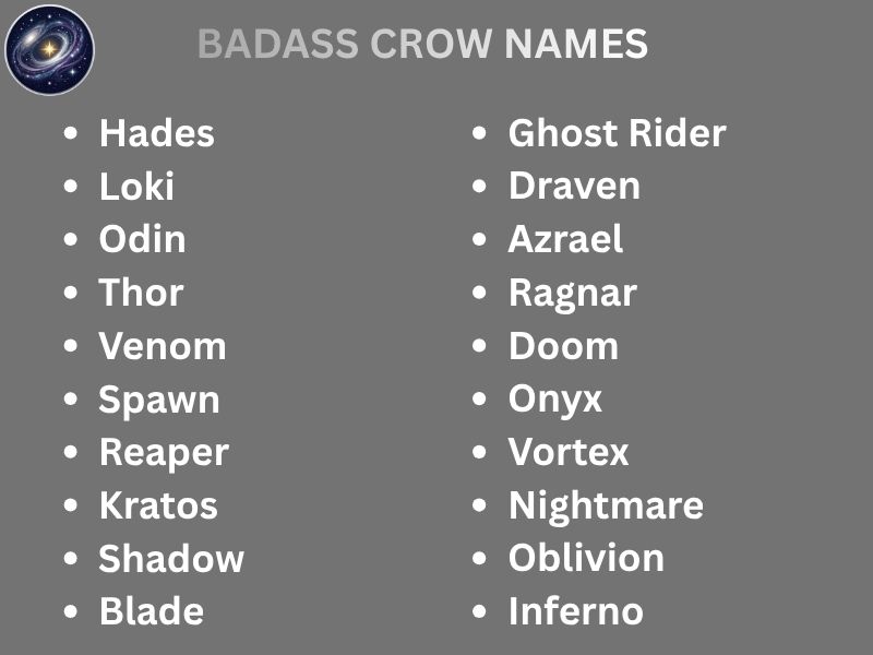 BADASS CROW NAMES