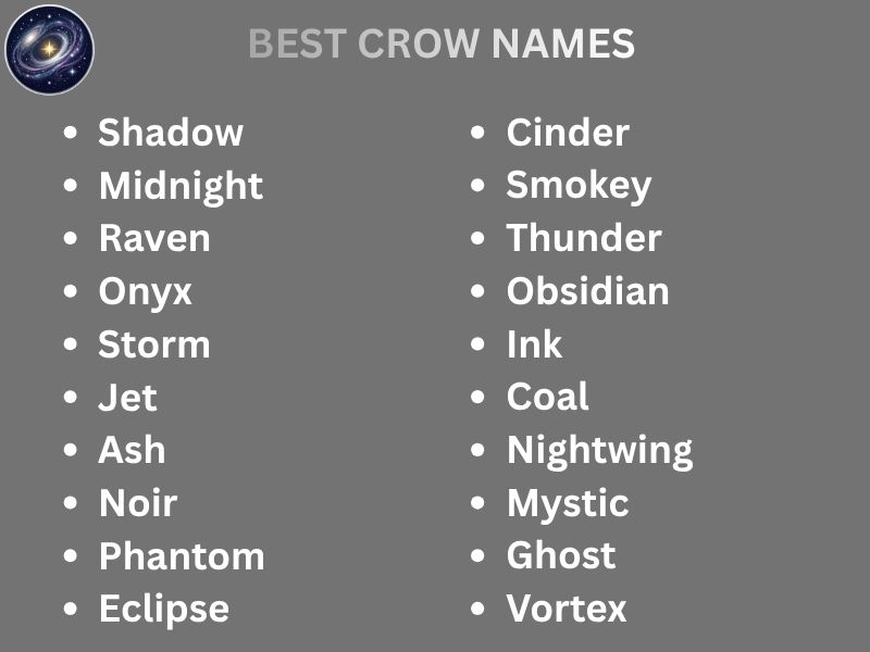BEST CROW NAMES