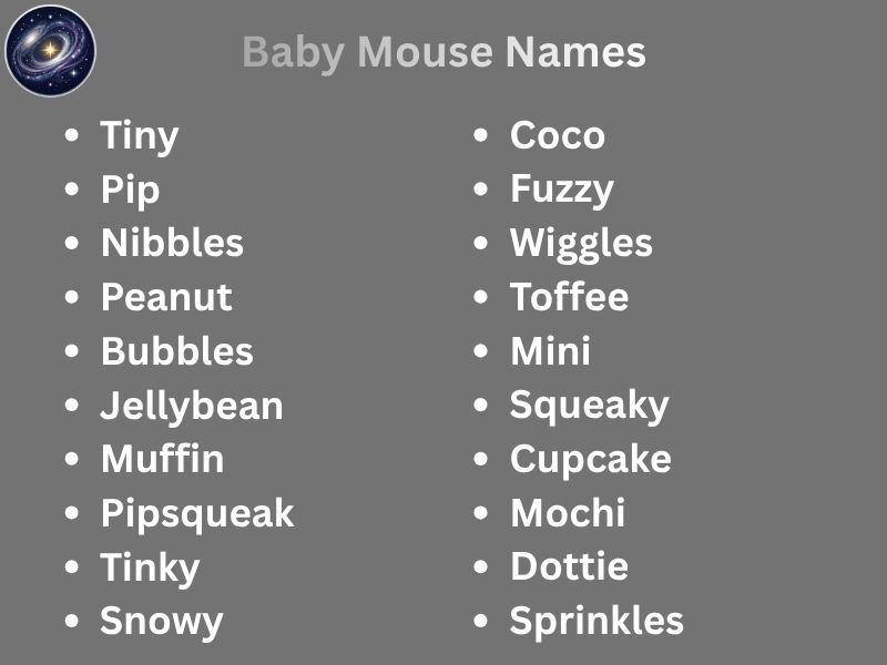 Baby Mouse Names