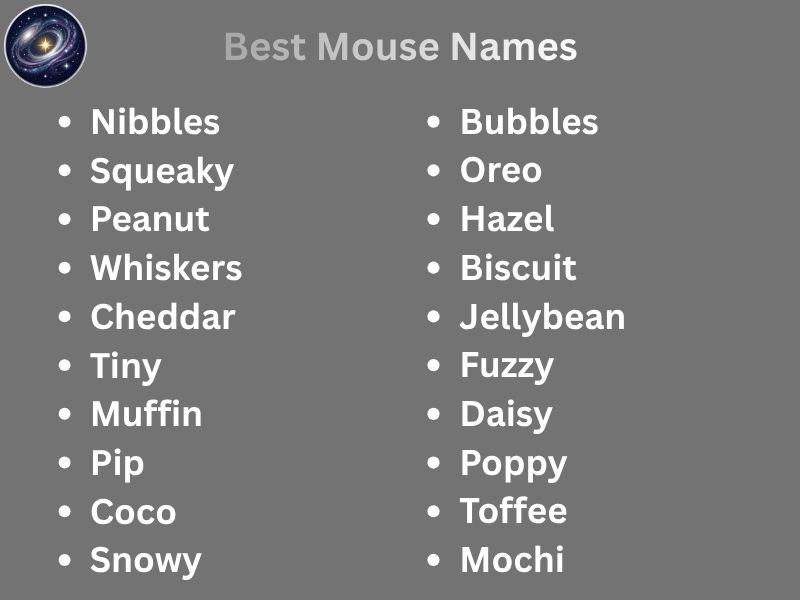 Best Mouse Names
