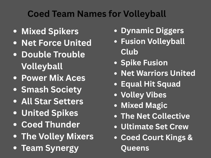 Coed Team Names for Volleyball