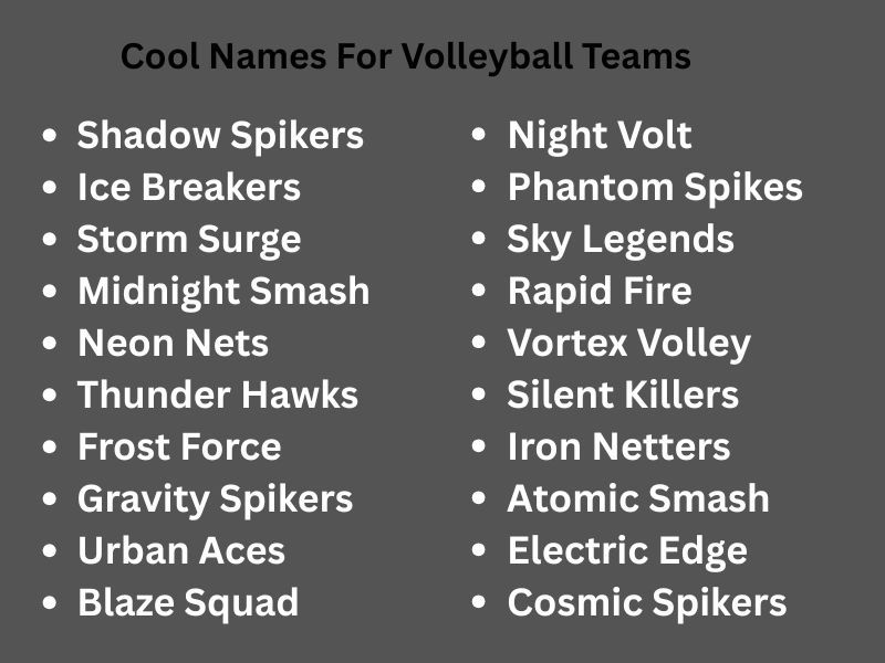 Cool Names For Volleyball Teams