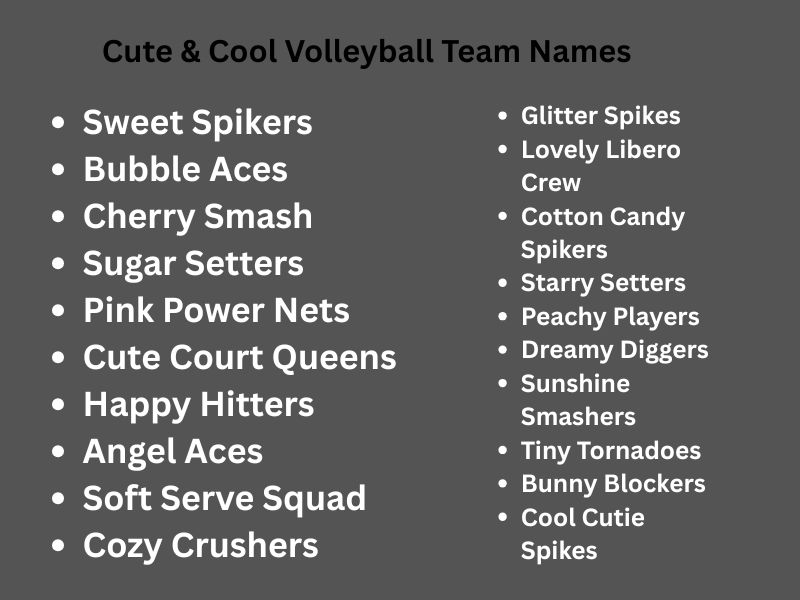 Cute & Cool Volleyball Team Names
