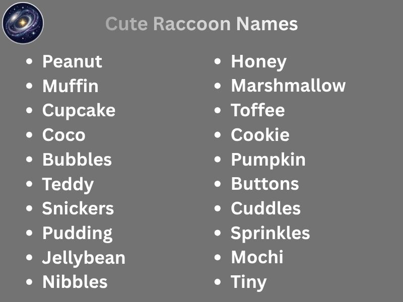 Cute Raccoon Names