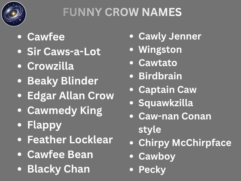 FUNNY CROW NAMES