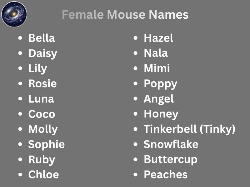 Female Mouse Names