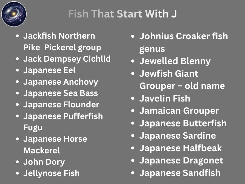 Fish That Start With J