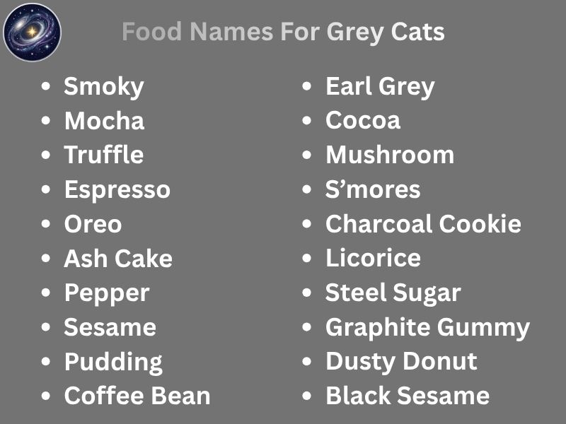 Food Names For Grey Cats