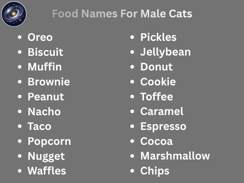 Food Names For Male Cats