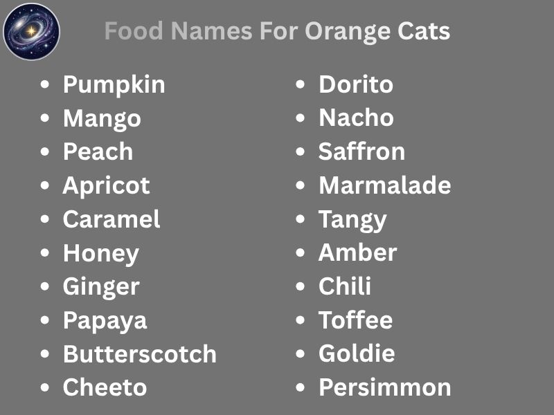 Food Names For Orange Cats