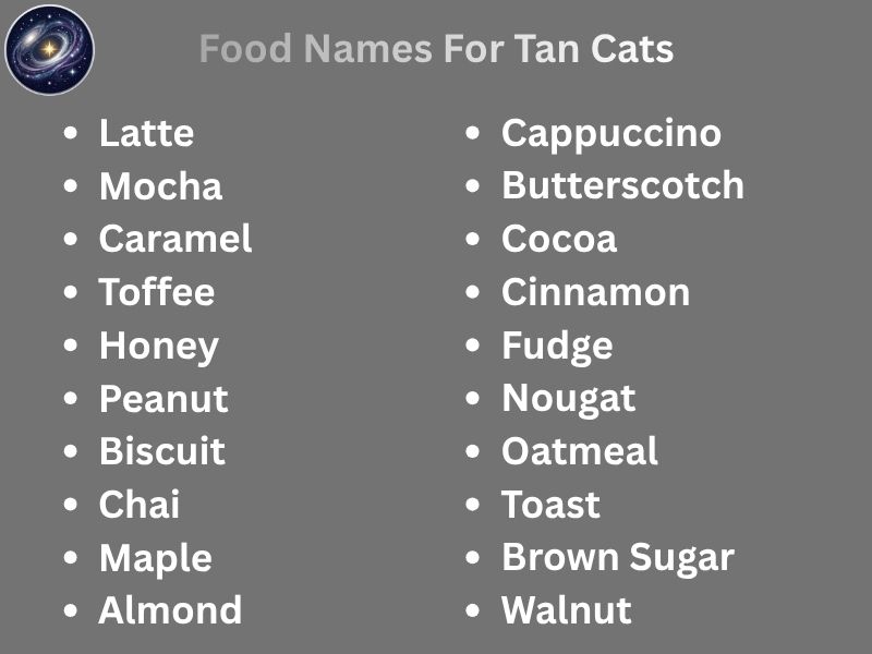 Food Names For Tan Cats