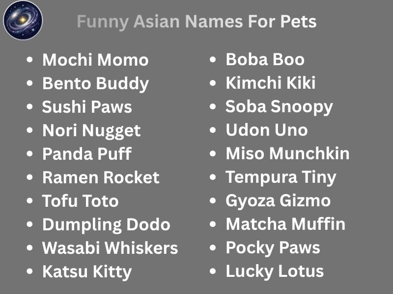 Funny Asian Names For Pets