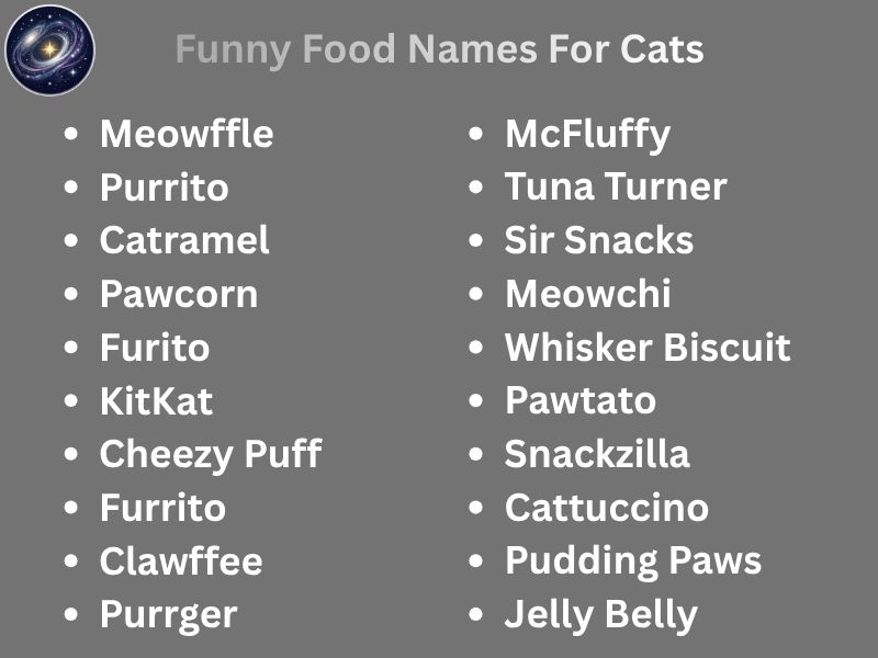 Funny Food Names For Cats