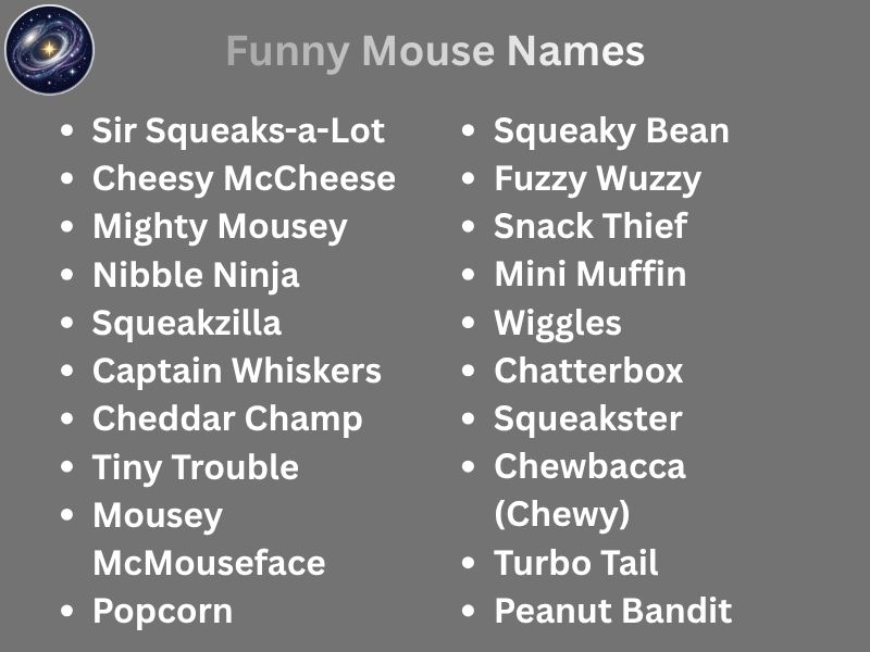 Funny Mouse Names