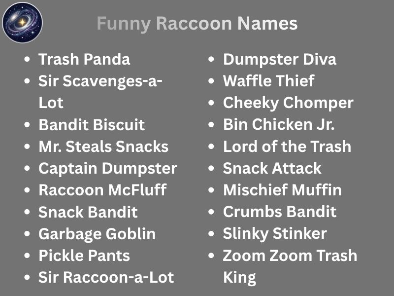 Funny Raccoon Names