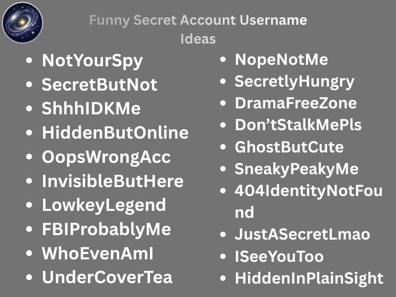 Funny Secret Account Username Ideas
