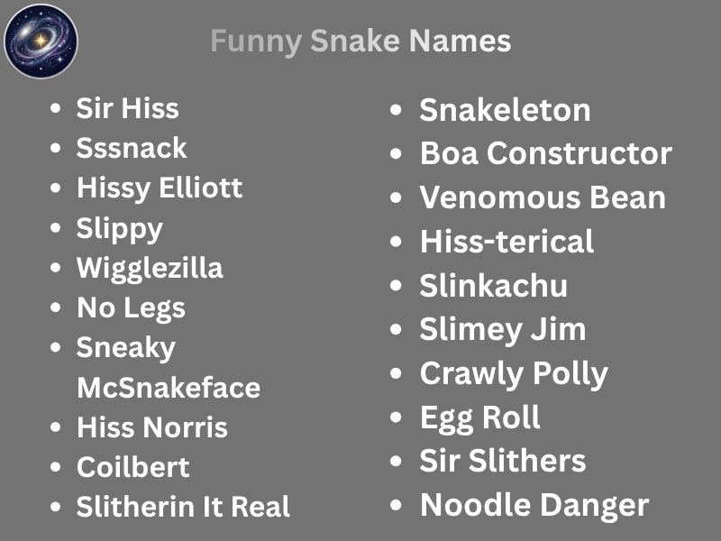 Funny Snake Names