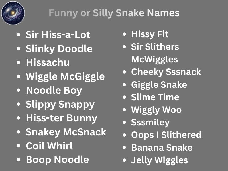 Funny or Silly Snake Names