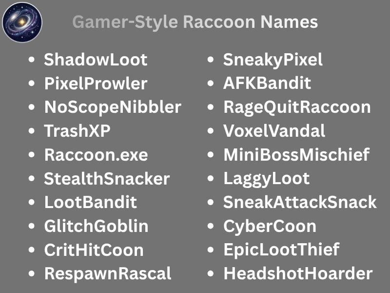 Gamer-Style Raccoon Names