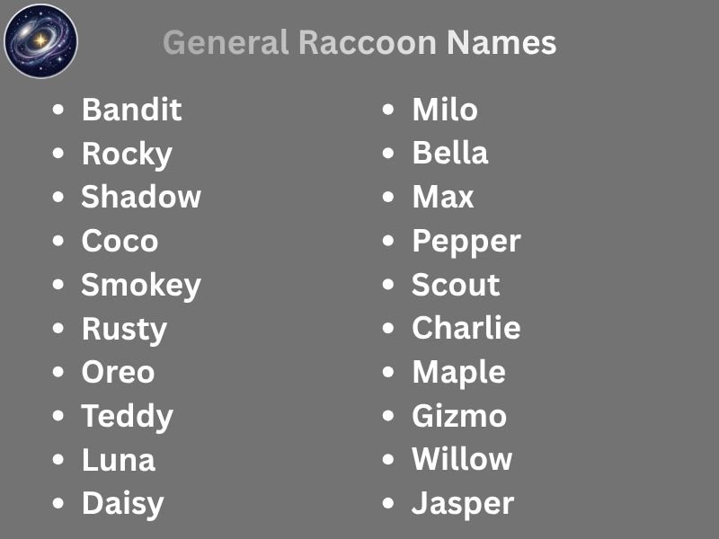 General Raccoon Names