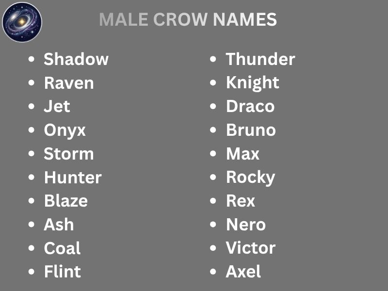 MALE CROW NAMES