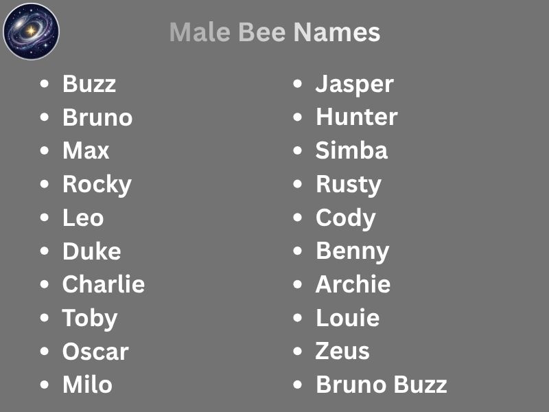 Male Bee Names