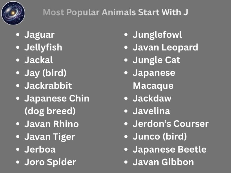 Most Popular Animals Start With J