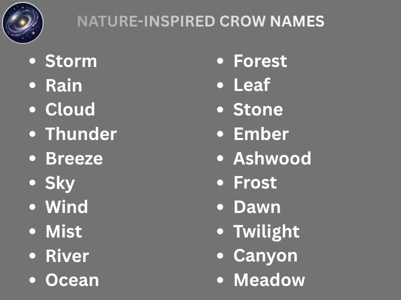 NATURE-INSPIRED CROW NAMES