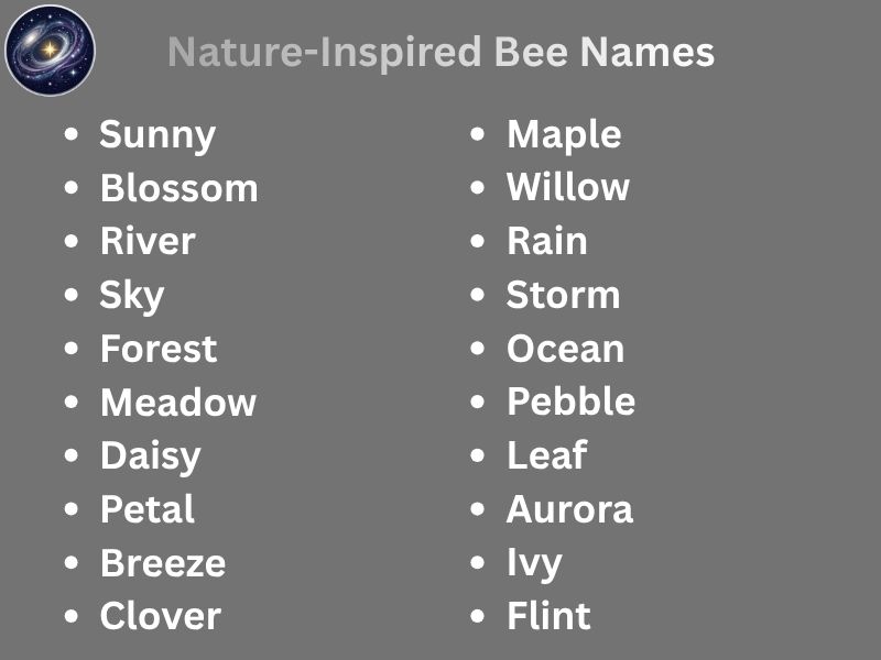 Nature-Inspired Bee Names