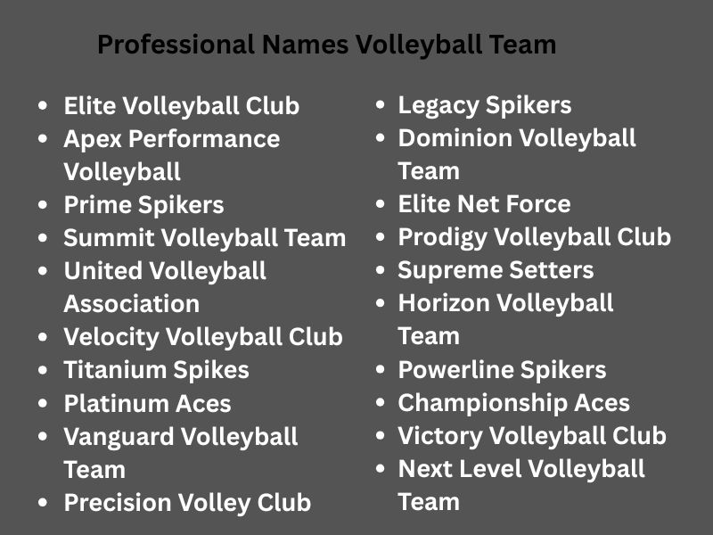 Professional Names Volleyball Team