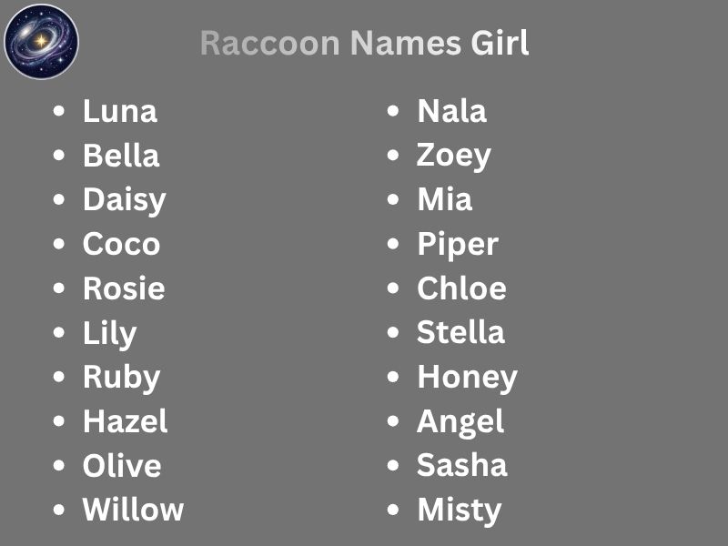 Raccoon Names Girl
