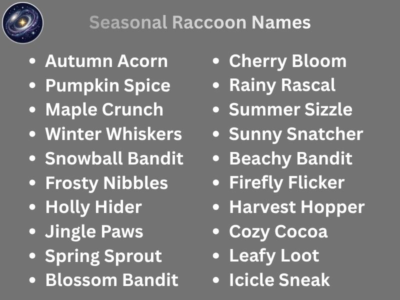 Seasonal Raccoon Names