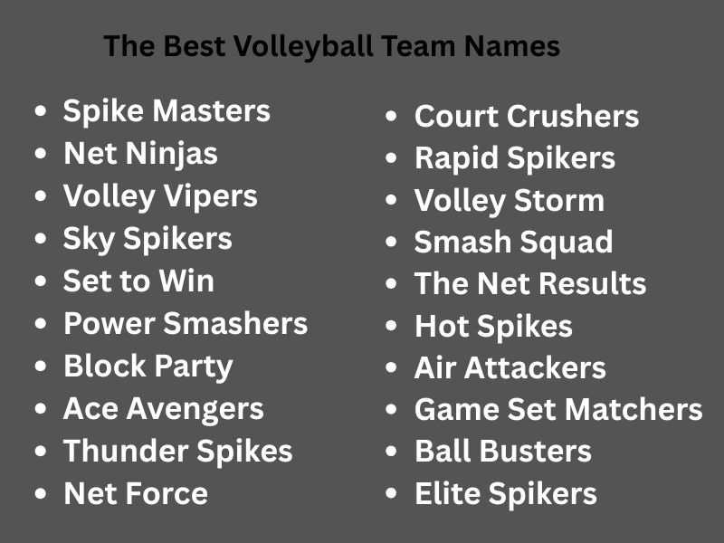The Best Volleyball Team Names