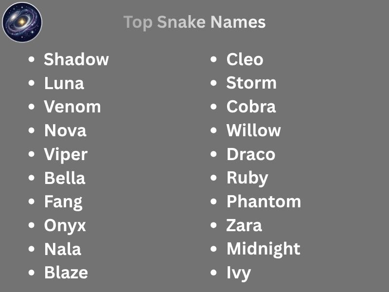 Top Snake Names