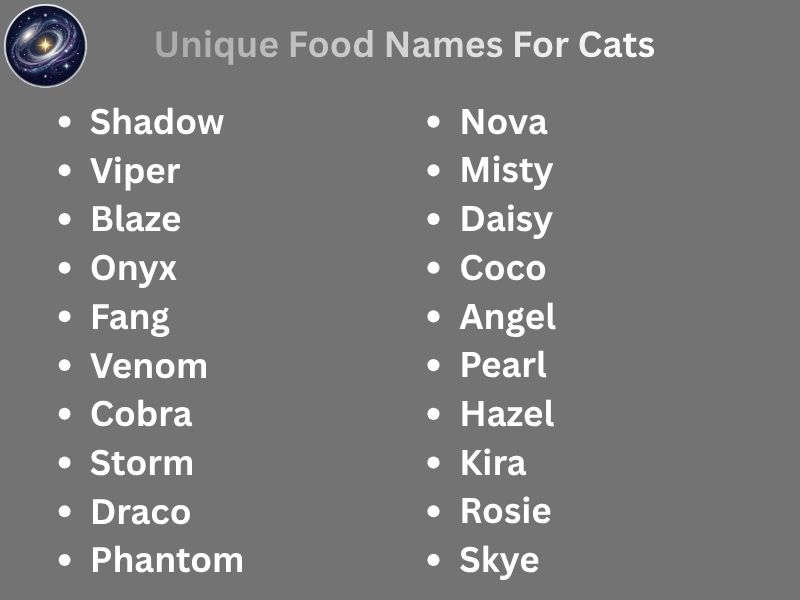 Unique Food Names For Cats
