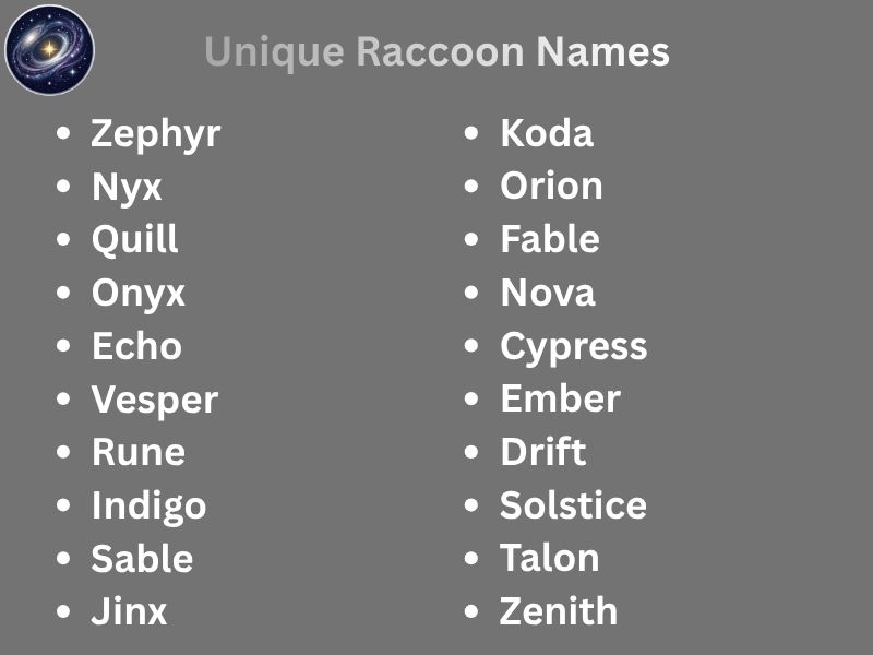 Unique Raccoon Names