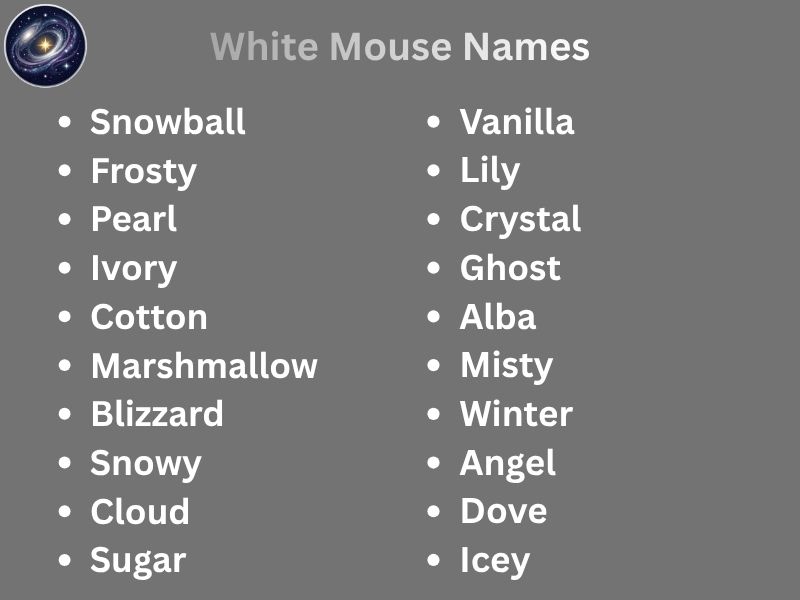 White Mouse Names