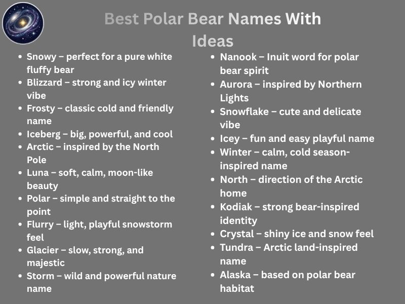 Best Polar Bear Names With Ideas