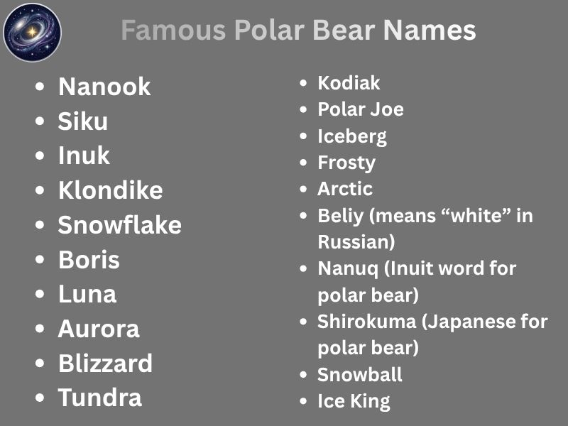 Famous Polar Bear Names